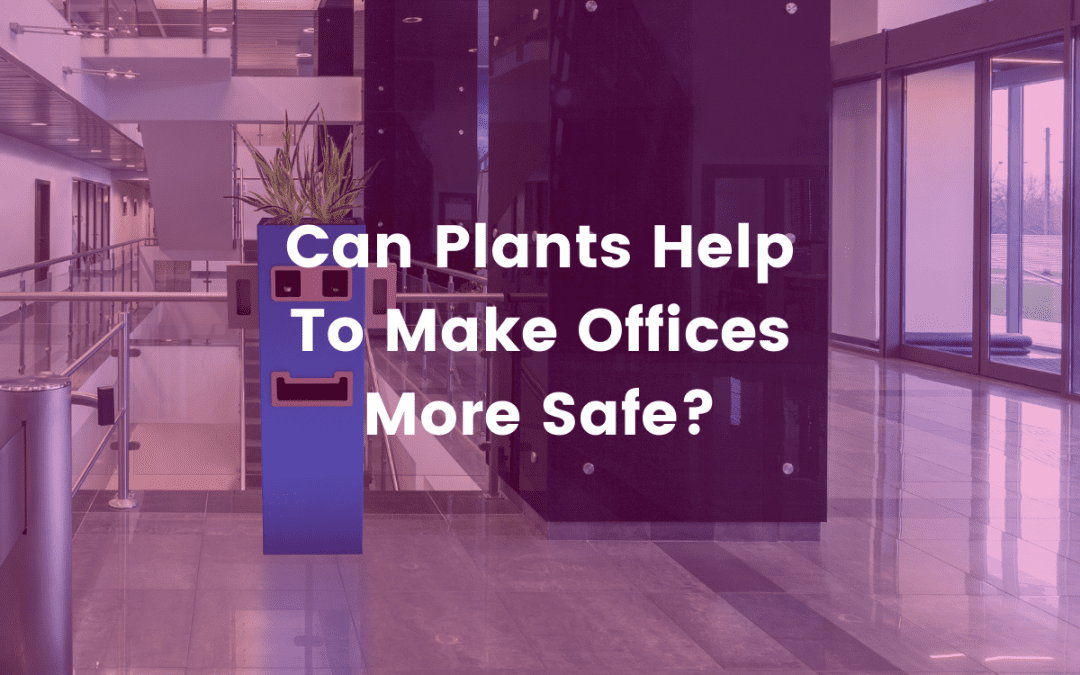 Can Plants Help To Make Offices More Safe?