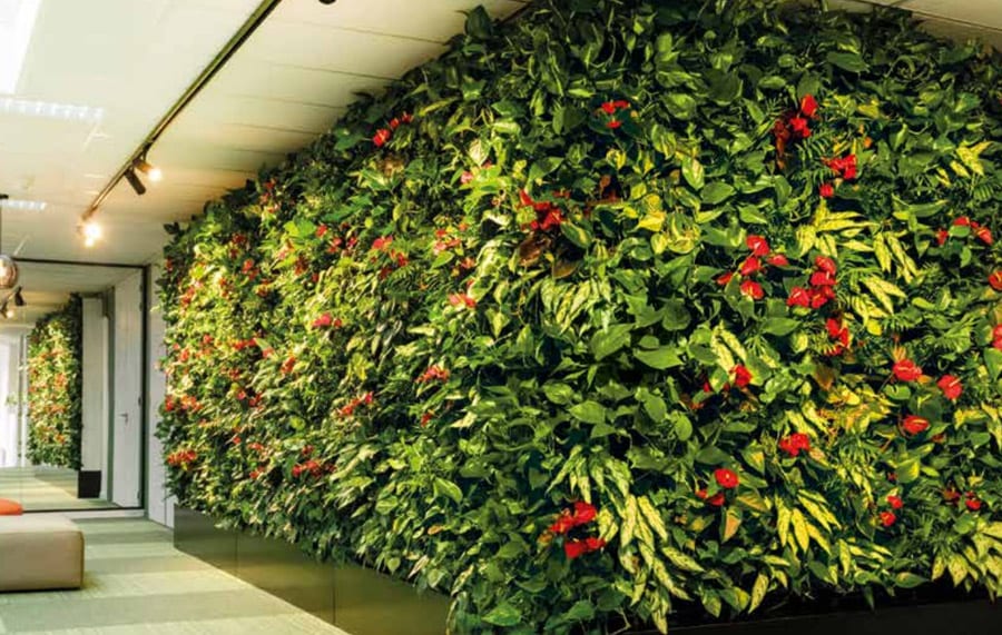Living-Wall-Services