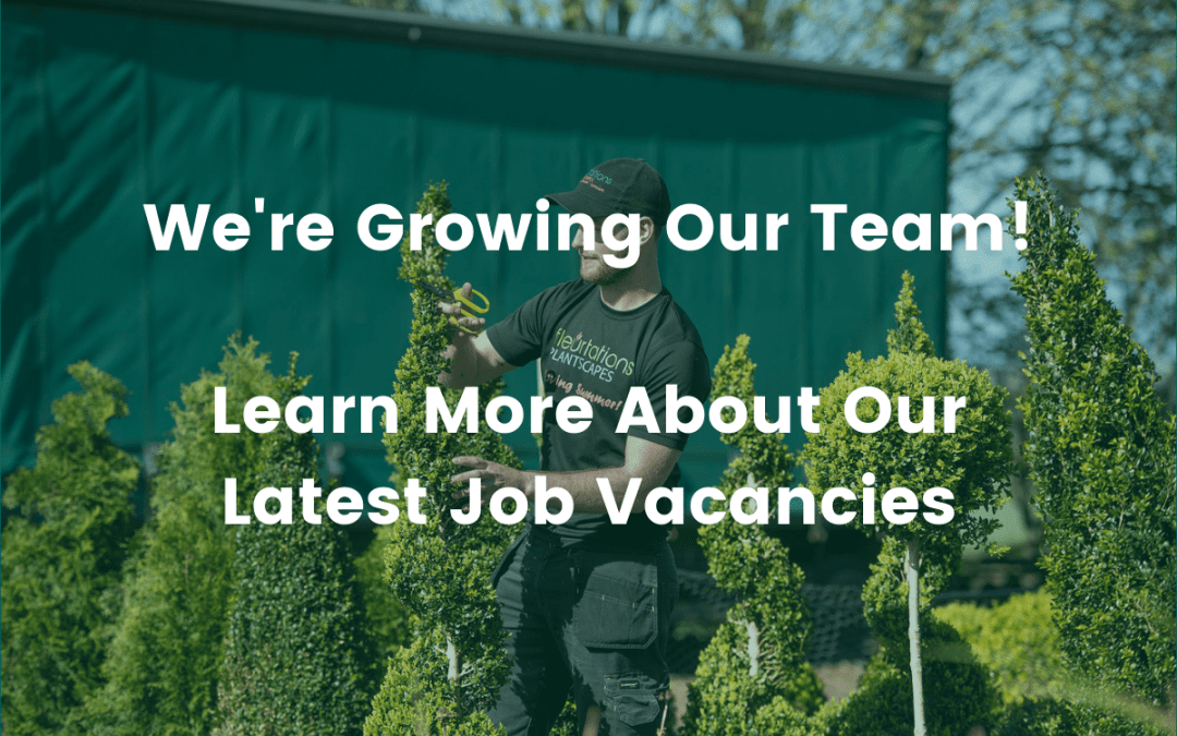 We’re Hiring! Learn More About Our Latest Vacancies