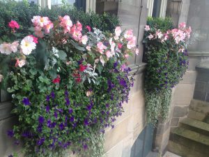 picture of a window box