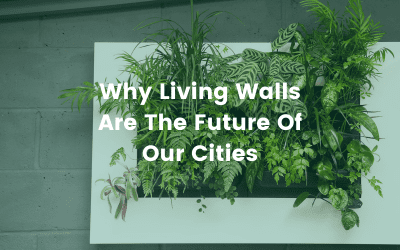 Why Living Walls Are The Future Of Our Cities