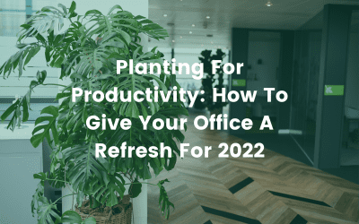 Planting For Productivity: How To Give Your Office A Refresh For 2022