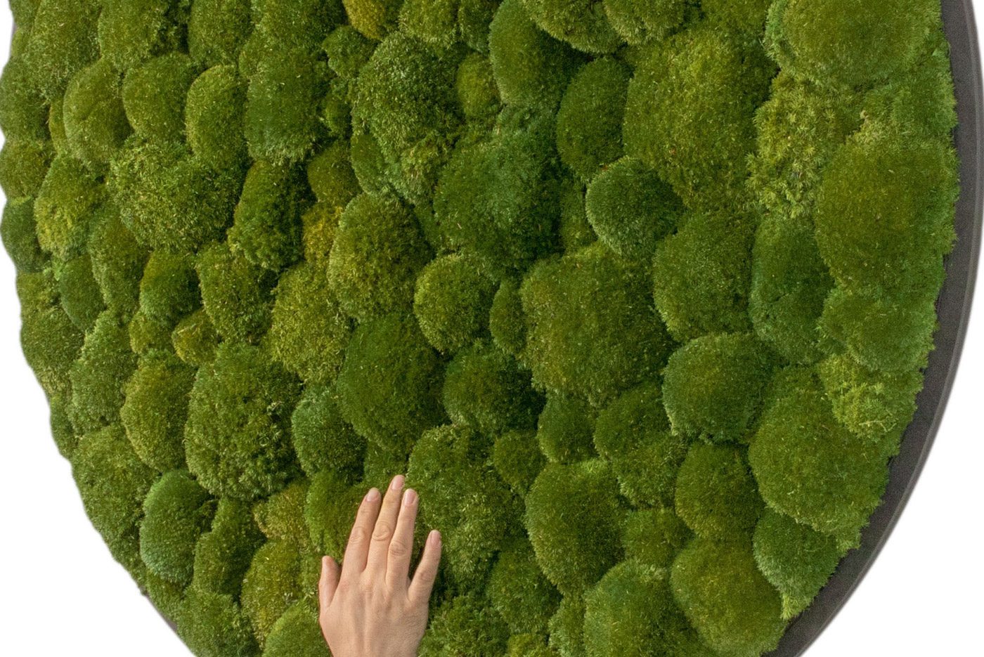 Flearutations-Biophilic-1