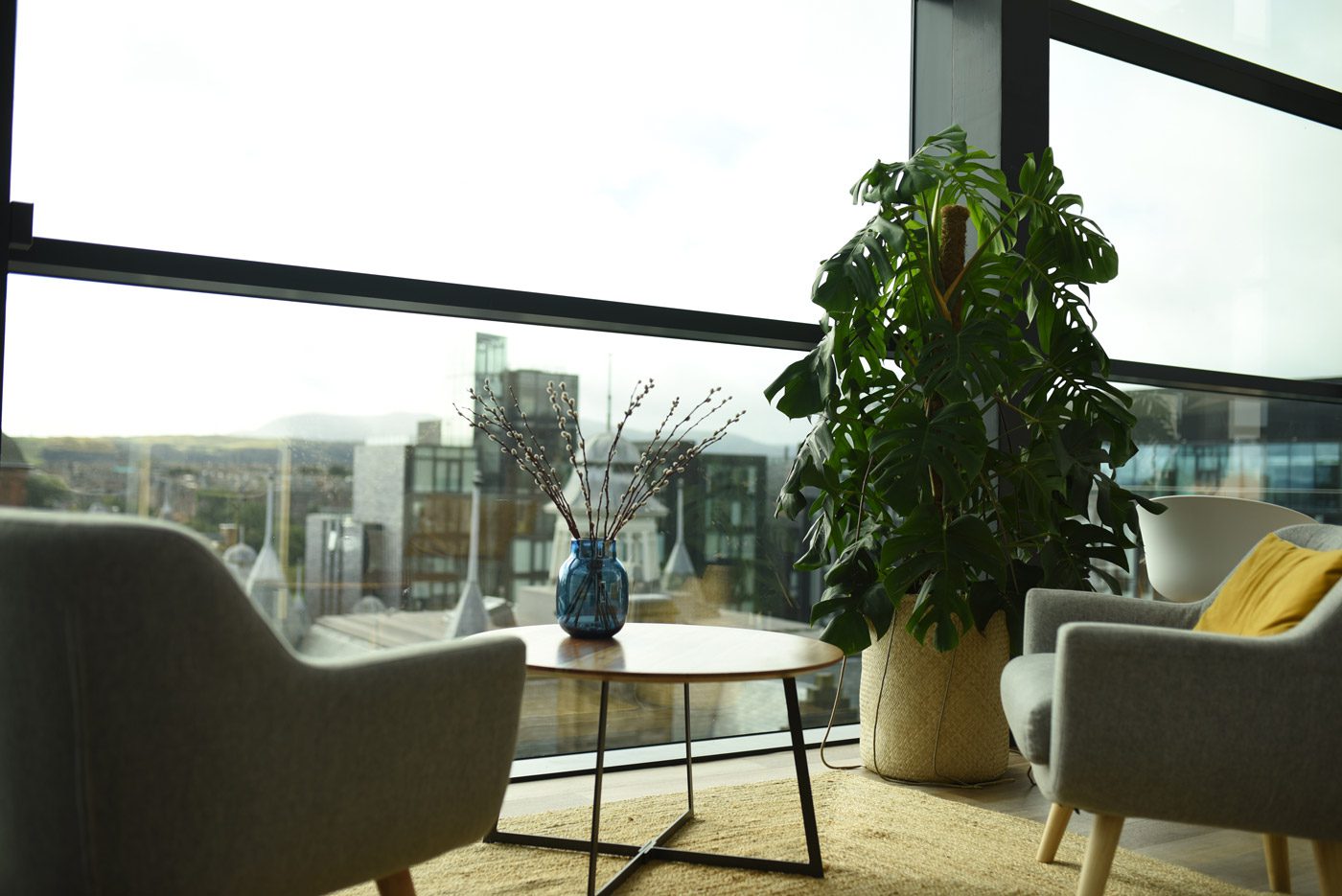 Fleurtations-Office-Plants-1