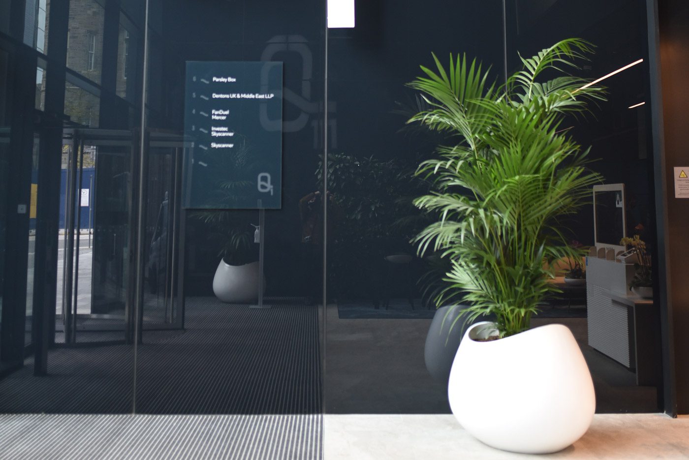 Fleurtations-Office-Plants-2