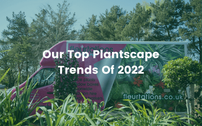 Our Top Plantscape Trends Of 2022