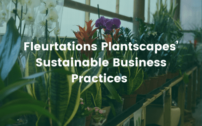 Sustainable Interior Planting: Fleurtations Plantscapes’ Sustainable Business Practices