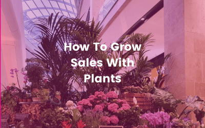 How To Grow Sales With Plants