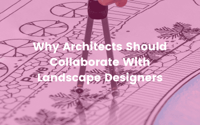 Why Architects Should Collaborate With Landscape Designers