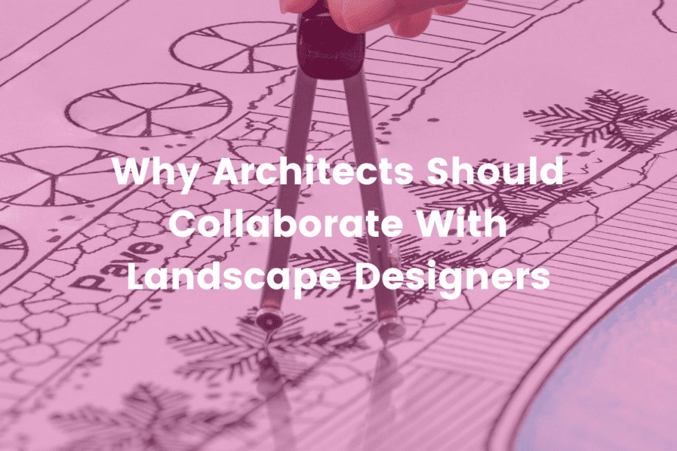 Why Architects Should Collaborate With Landscape Designers