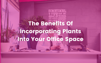 The Benefits Of Incorporating Plants Into Your Office Space