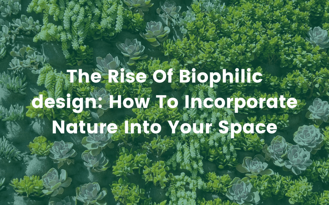 The Rise Of Biophilic Design: How To Incorporate Nature Into Your Space