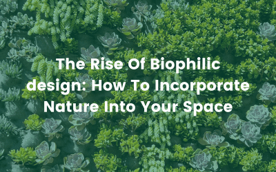 The Rise Of Biophilic Design: How To Incorporate Nature Into Your Space