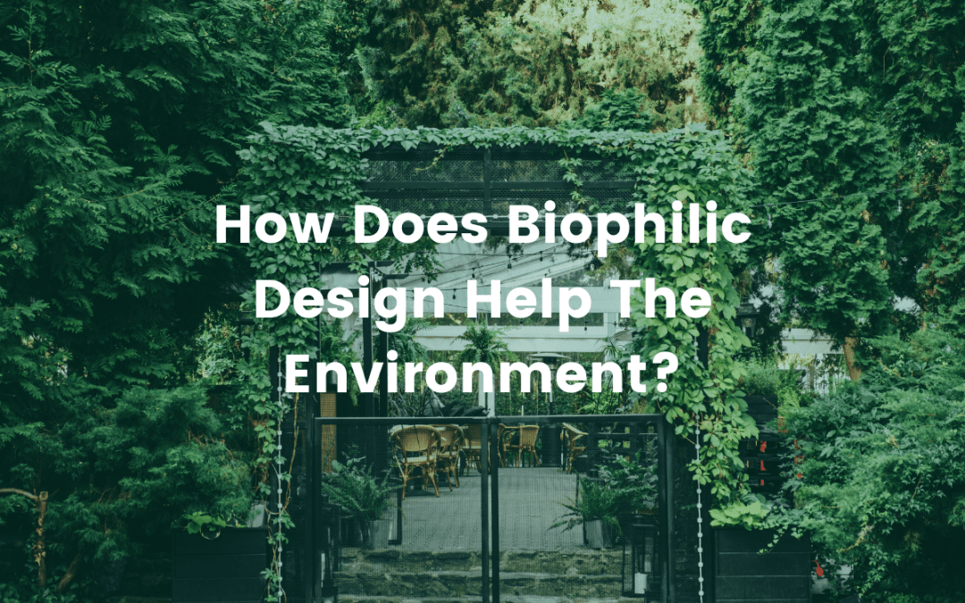 How Does Biophilic Design Help The Environment?