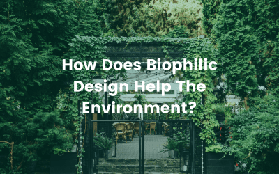 How Does Biophilic Design Help The Environment?