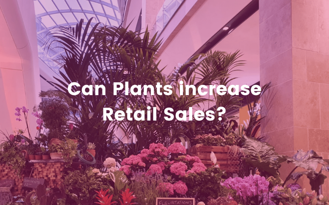 Can plants increase retail sales? A plant display inside of a shopping centre covered with a pink filter.
