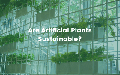 Are Artificial Plants Sustainable?