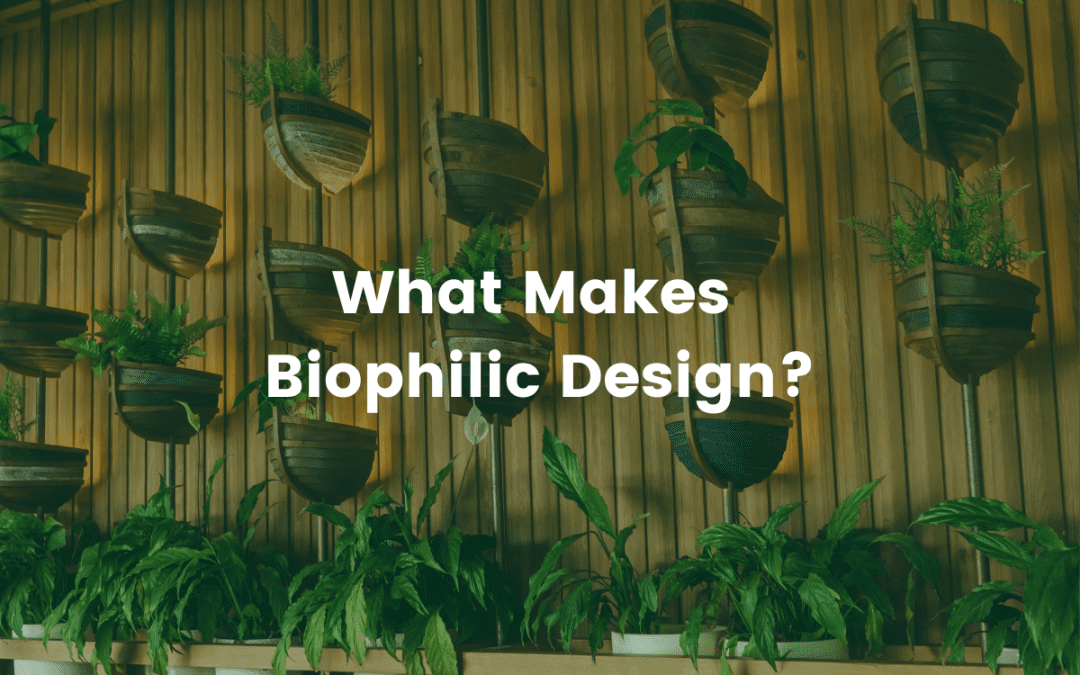 What makes biophilic design?