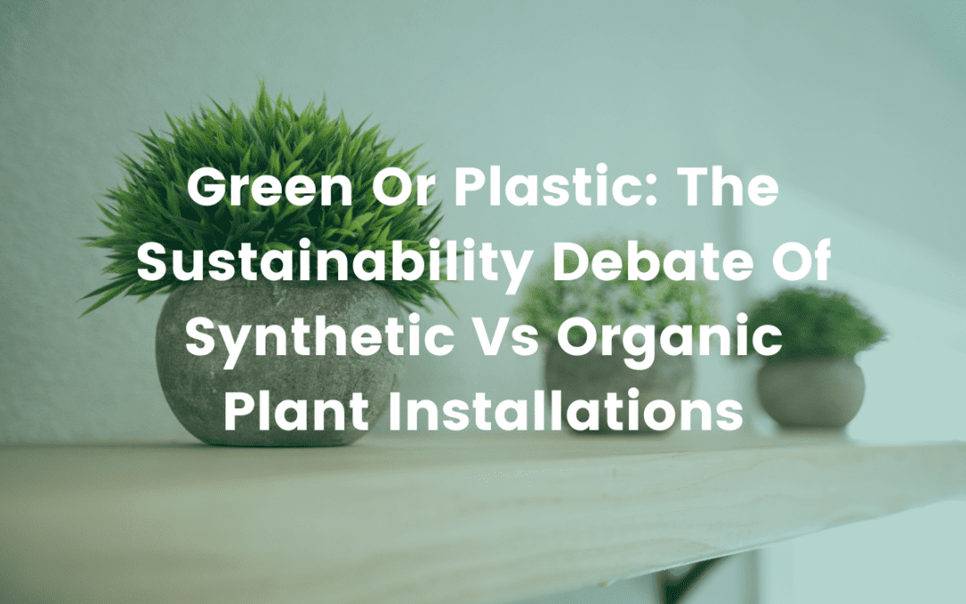 Green or Plastic: The Sustainability Debate of Synthetic Vs Organic Plant Installations