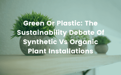 Green or Plastic: The Sustainability Debate of Synthetic Vs Organic Plant Installations