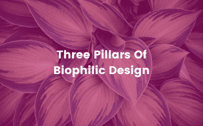 Three pillars of biophilic design