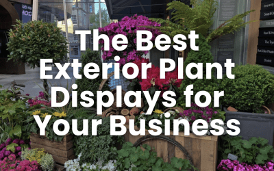 First Impressions Matter! Here’s How to Choose the Best Exterior Plant Display for Your Business