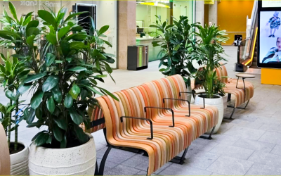 Westfield St James Quarter: A new era for the iconic retail destination, brought to life with plants